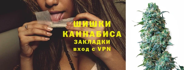 молекула духа Горнозаводск