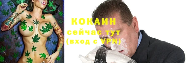 молекула духа Горнозаводск