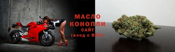 молекула духа Горнозаводск