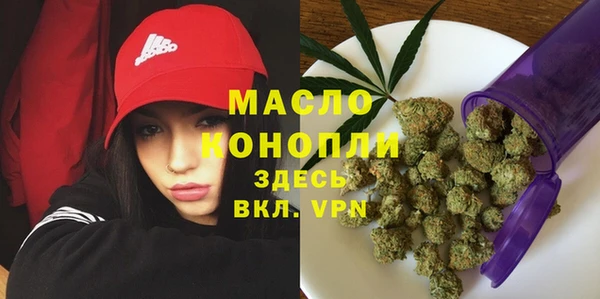 молекула духа Горнозаводск