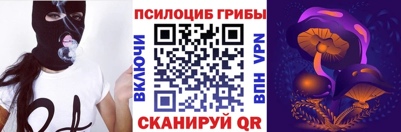 Псилоцибиновые грибы Psilocybe  Купить закладки  Верещагино 